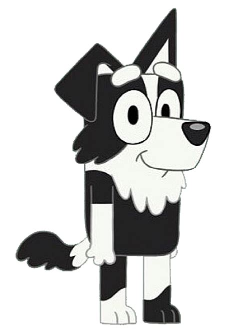 She has brown legs, arms, tail stem, torso, ears and head, and whiter feet, hands, tail tip, chest and muzzle. . What breed is mackenzie from bluey